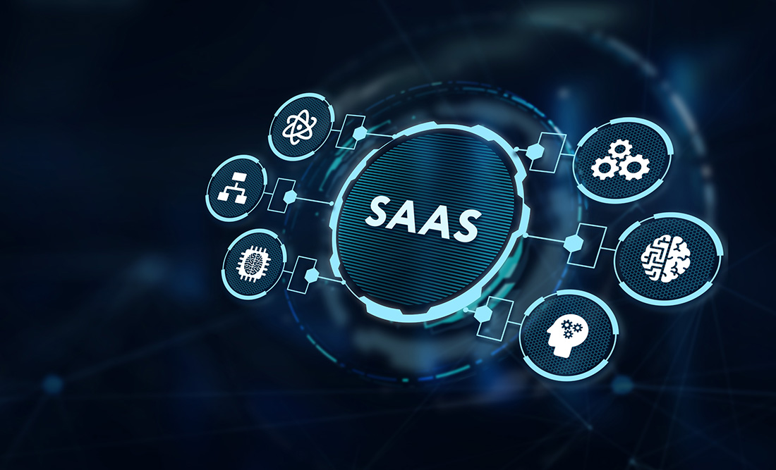 <span>Single Tenant/Private SaaS</span>