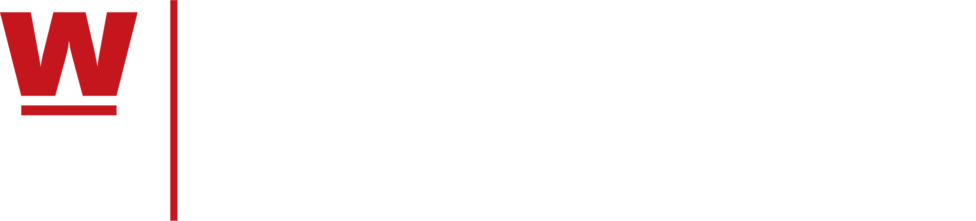 WM Synergy